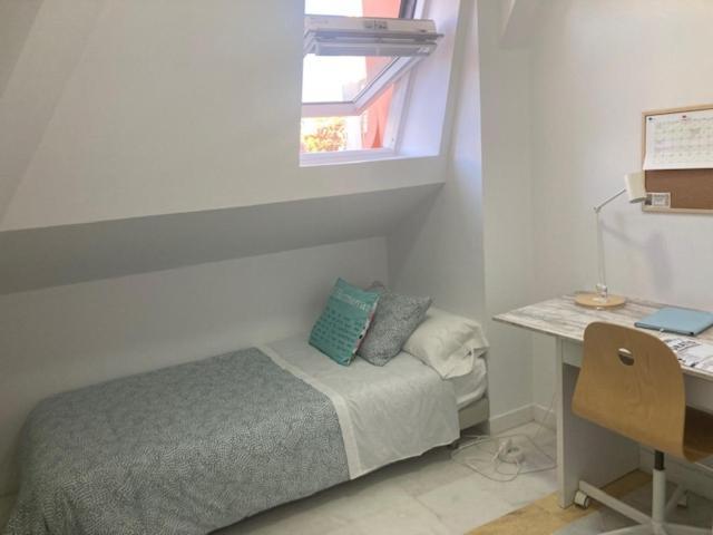 Colegio Mayor Careu - Women Only - University Community 세비야 외부 사진